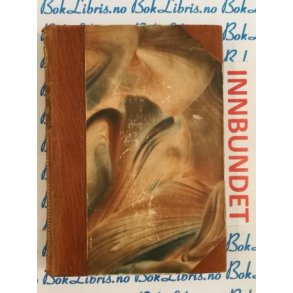 Bernt Lies samlede verker Mindeutgave VIII Mot overmagt - Helle