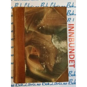 Bernt Lies samlede verker Mindeutgave X Gabriel Selje, I Marjastilla, En racekamp