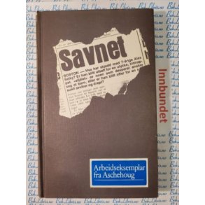 Beth Gutcheon - Savnet