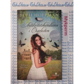 Beth Hoffman - Antikvitetshandleren i Charleston (Mykperm)