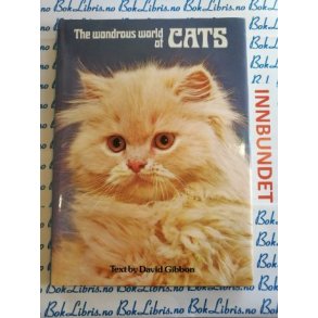 David Gibbon - The Wondrous world of CATS