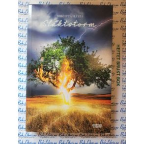 Birgitta Illys - Slktstorm