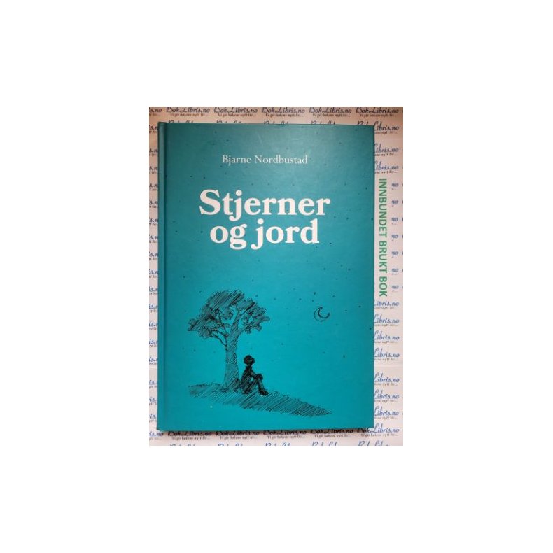 Bjarne Nordbustad - Stjerner og jord (Signert)