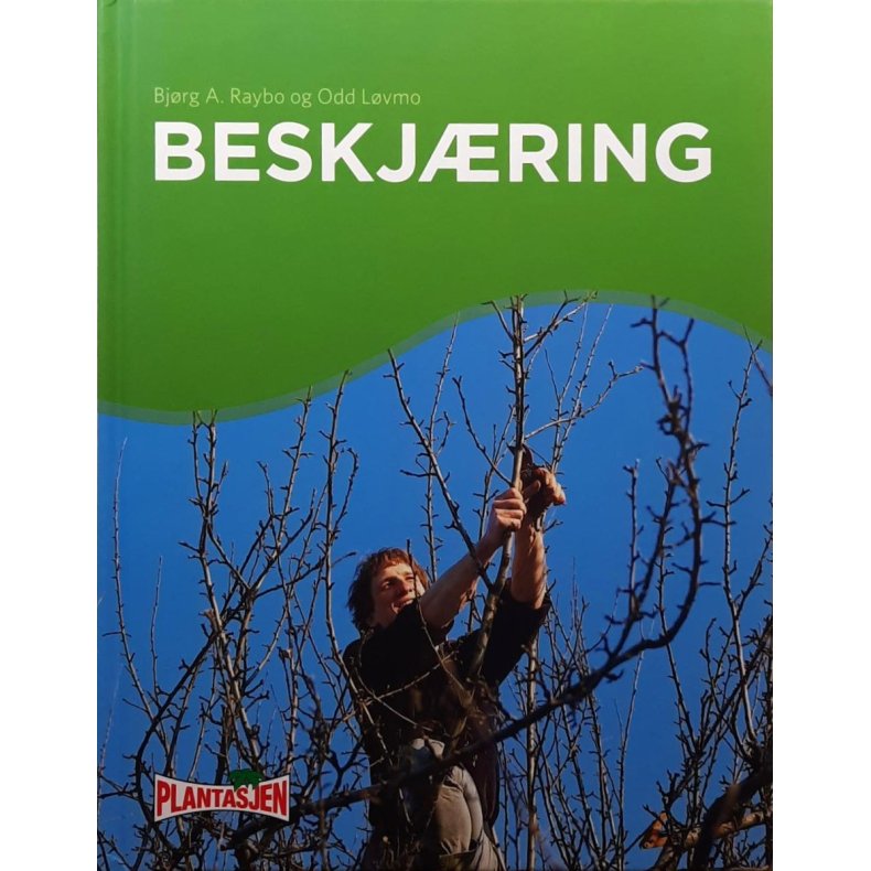 Bjrg A. Raybo og Odd Lvmo - Beskjring