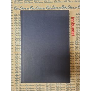 Bodil Katarina Nvdal - Drmmenes palass