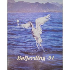 Bfjerding -91 - rbok for B