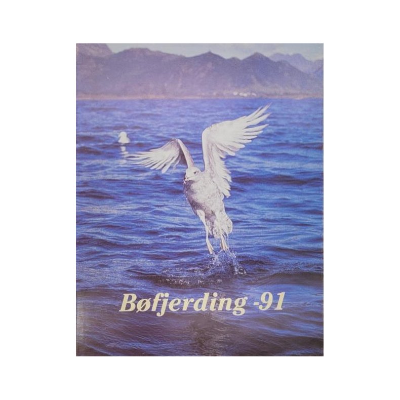 Bfjerding -91 - rbok for B