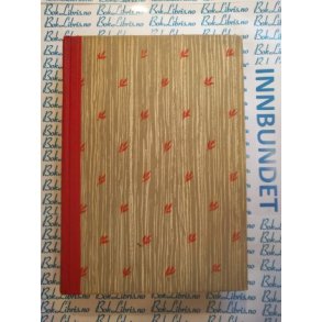 Frank G. Slaughter - Den gylne y