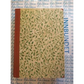 Ina Boudier-Bakker - Det banker p dren 2. bind