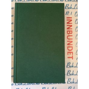 Danielle Steel - Forsvunnet