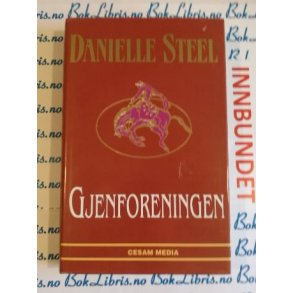 Danielle Steel - Gjenforeningen