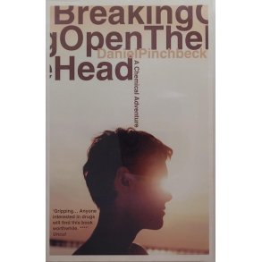 Daniel Pinchbeck - Breaking open the head