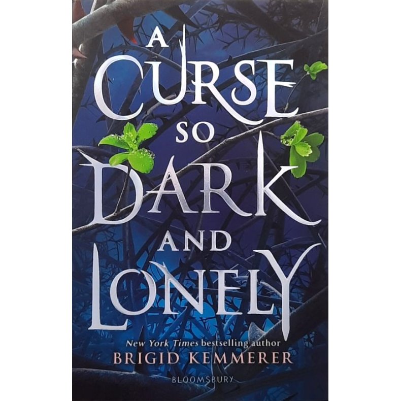 A Curse So Dark And Lonely (Heftet)