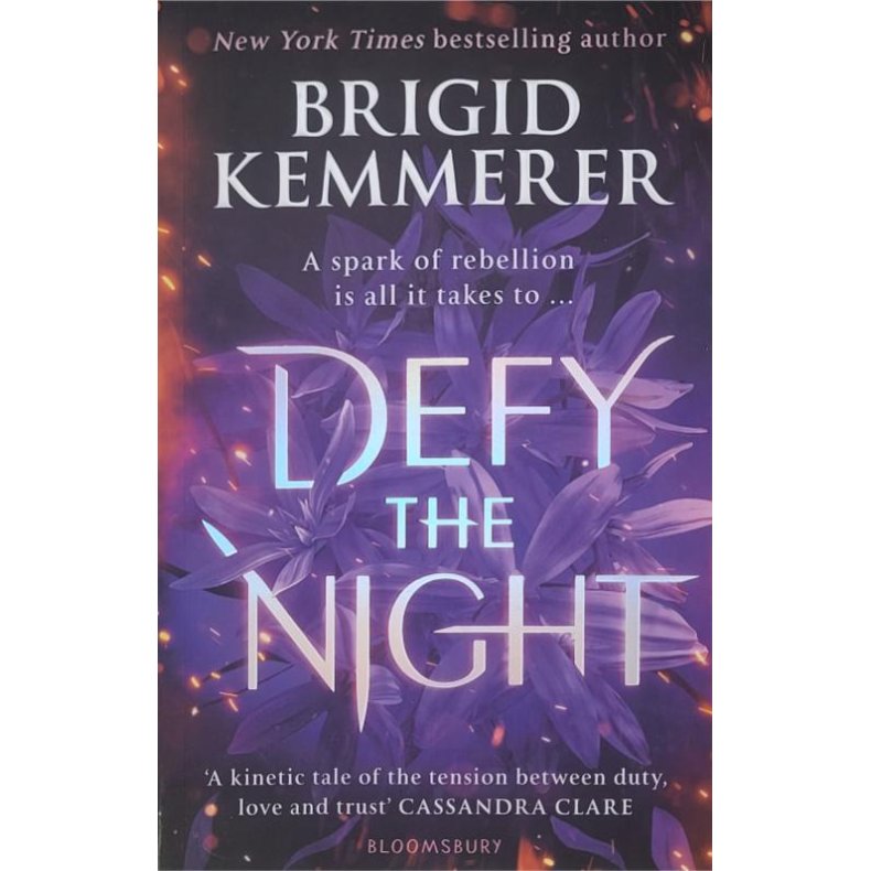 Brigid Kremmerer - Defy The Night