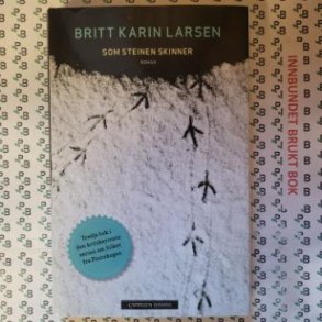 Britt Karin Larsen - Som steinen skinner