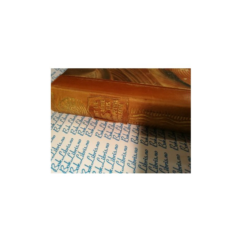 Bernt Lies samlede verker IV - I Knut Arnebergs hus Hildr Peter Napoleon