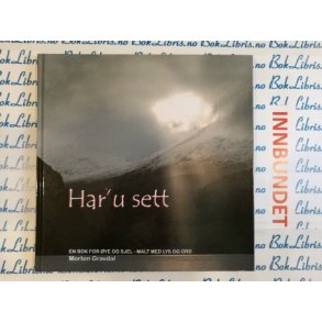 Morten Gravdal - Har'u sett