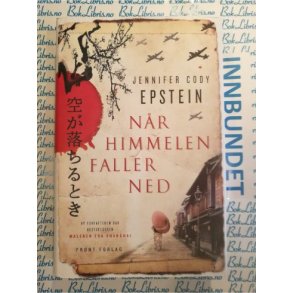 Jennifer Cody Epstein - Nr himmelen faller ned