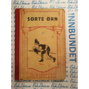 Bernt Lie - Sorte rn