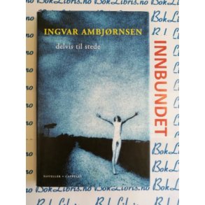 Ingvar Ambjrnsen - Delvis til stede