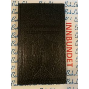 Johan Bojer - Den siste viking