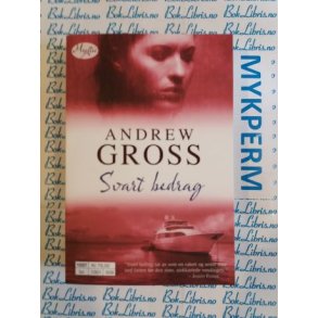  Andrew Gross - Svart bedrag (Heftet)