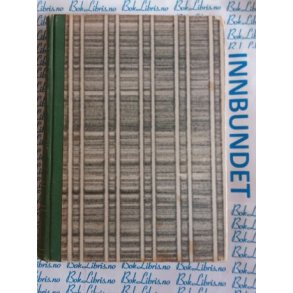 Alexander Fadejev - Den unge garde