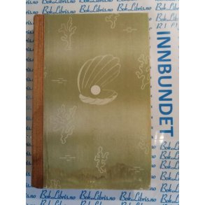 H. C. Andersen - Stjernelykten