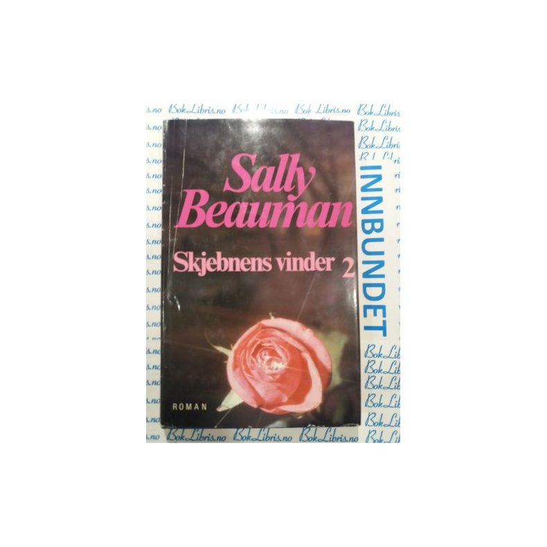 Sally Beauman - Skjebnens vinder 2