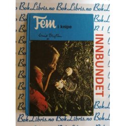 Enid Blyton - Fem i knipe