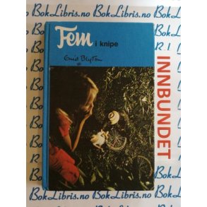 Enid Blyton - Fem i knipe