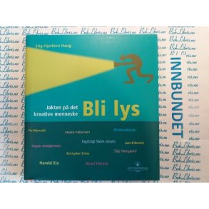 Stig Hjerkinn Haug - Bli lys Jakten p det kreative menneske