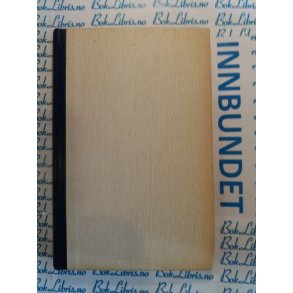 A. M. De Jong - Fedrenes synd