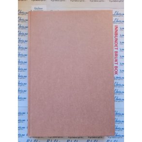 Janneken verland - Cora Sandel