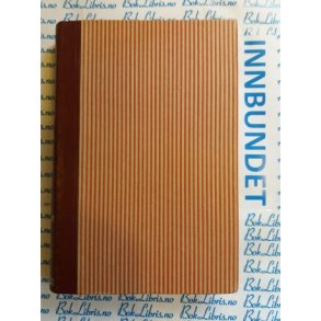 Ingrid Lang - En mann reiser hjem