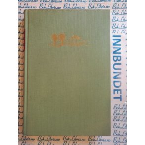 Synnve Christensen - Det tause huset