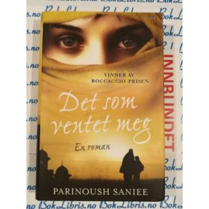 Parinoush Saniee - Det som ventet meg (I)