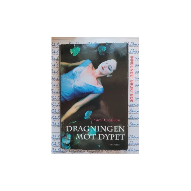 Carol Goodman - Dragningen mot dypet