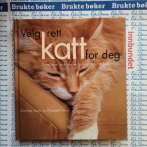 Caroline Davis og Elizabeth Perry - Velg rett katt for deg