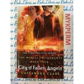 Cassandra Clare - The mortal instruments 5 City of Fallen Angels