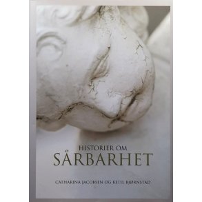 Catharina Jacobsen og Ketil Bj�rnstad - Historier om s�rbarhet (Innbundet)