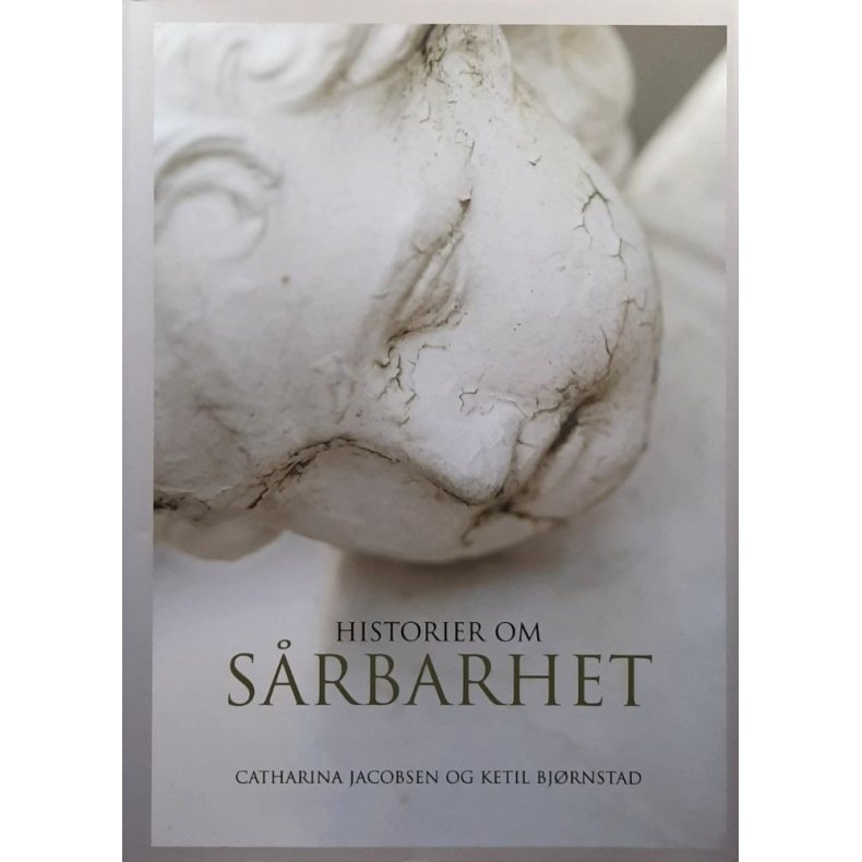 Catharina Jacobsen og Ketil Bj�rnstad - Historier om s�rbarhet (Innbundet)