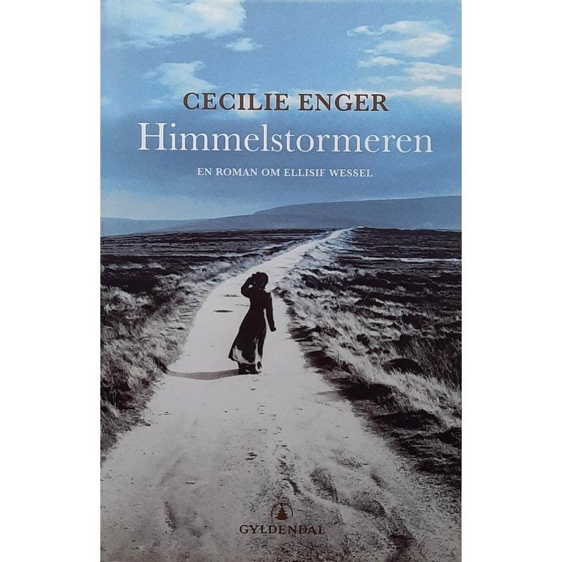 Cecilie Enger - Himmelstormeren - En roman om Ellisif Wessel