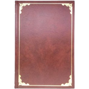 Charles Dickens - Dombey & snn Nr.2 