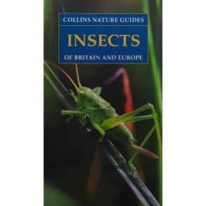 Collins Nature Guides - Insects of Britain and Europe