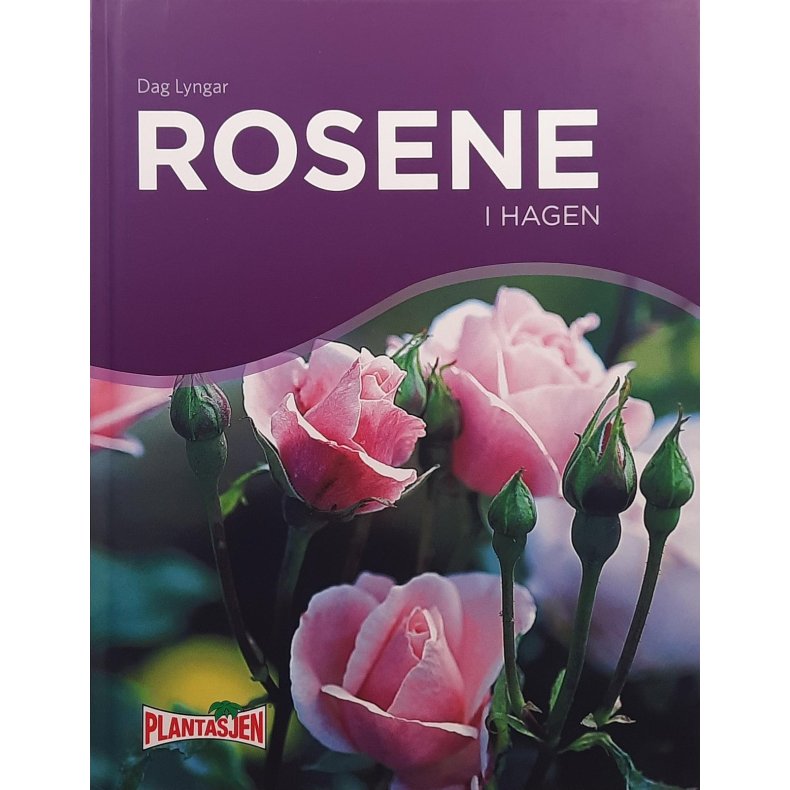 Dag Lyngar - Rosene i hagen (Innb.)