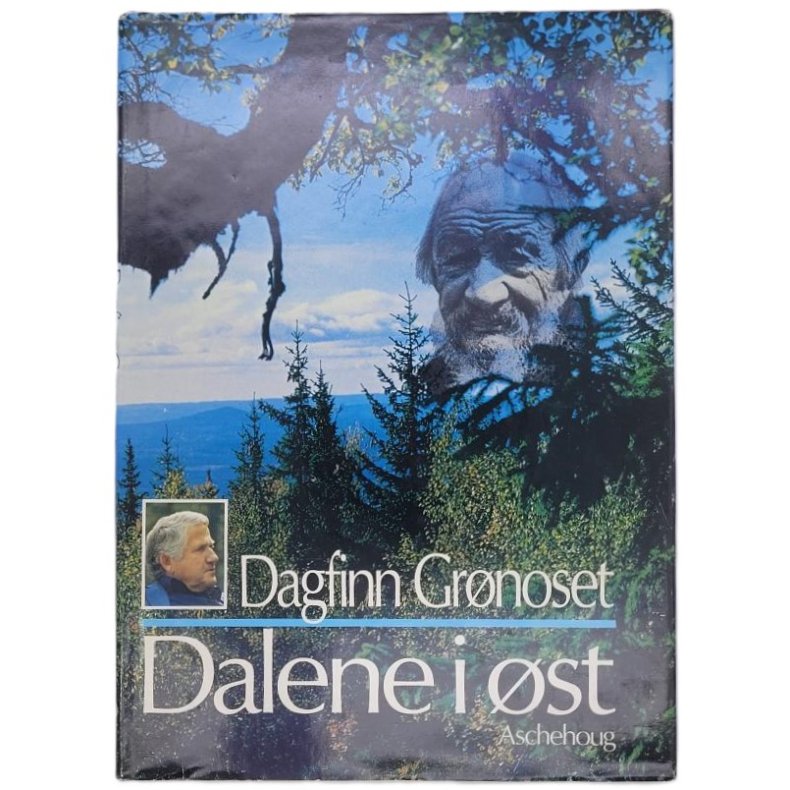 Dagfinn Grnoset - Dalene i st