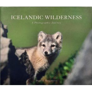 Daniel Bergmann - Icelandic wilderness - A photographic journey