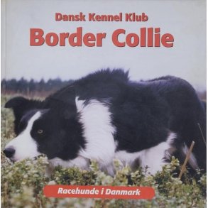 Dansk Kennel Klub - Border Collie - Racehunde i Danmark