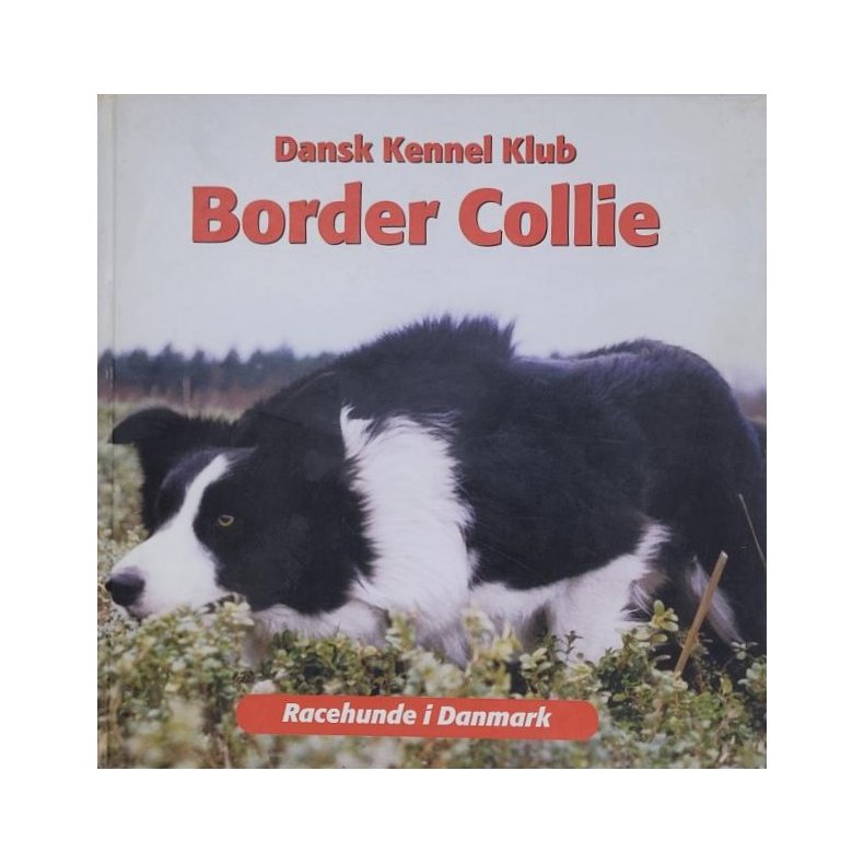 Dansk Kennel Klub - Border Collie - Racehunde i Danmark